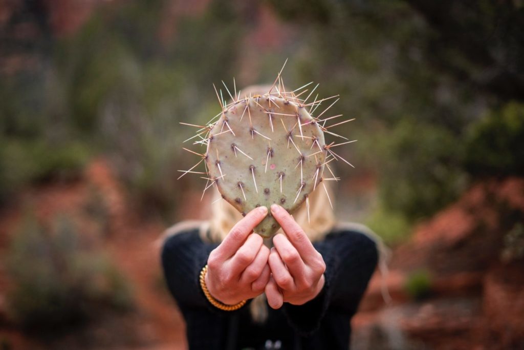 Porozumienie bez przemocy jest najskuteczniejszym sposobem komunikacji. Na zdjęciu dziewczyna, która trzyma w ręku kaktus, zasłaniając w ten sposób twarz.